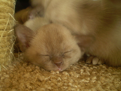click for enlarge 640 X 480 157,2 Kb picture