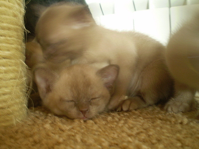 click for enlarge 640 X 480 167,5 Kb picture