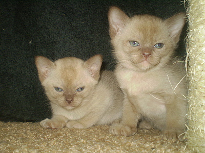click for enlarge 640 X 480 168,5 Kb picture
