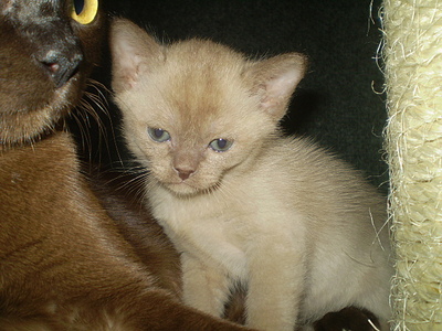 click for enlarge 640 X 480 154,6 Kb picture