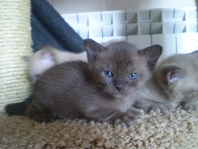 click for enlarge 640 X 480 159,4 Kb picture