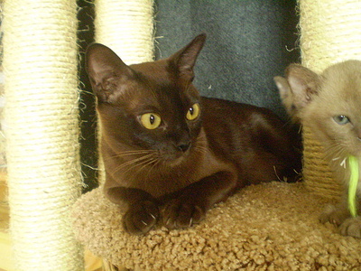 click for enlarge 640 X 480 172,3 Kb picture