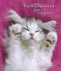 click for enlarge 284 X 330 28,3 Kb picture