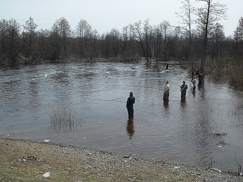click for enlarge 816 X 612 495,9 Kb picture