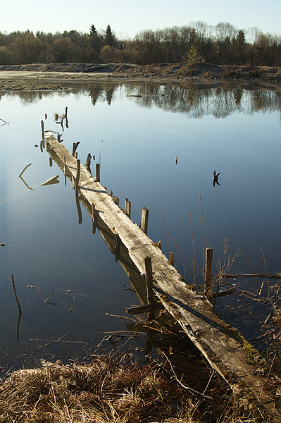 click for enlarge 532 X 800 430,0 Kb picture