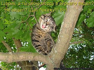 click for enlarge 750 X 562  99,1 Kb picture
