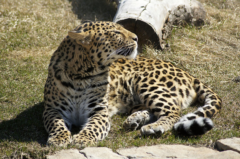click for enlarge 1280 X 851 408,4 Kb picture