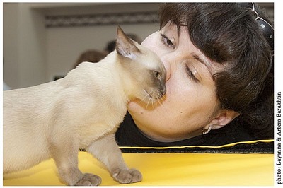 click for enlarge 600 X 399 50,7 Kb picture