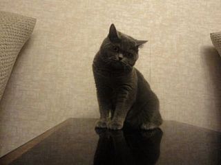 click for enlarge 400 X 300  27,2 Kb picture