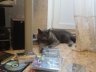 click for enlarge 400 X 300  31,5 Kb picture