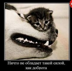 click for enlarge 421 X 419 36,4 Kb picture