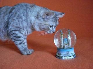 click for enlarge 448 X 336 22,1 Kb picture