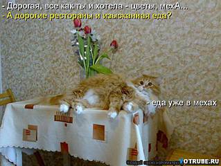 click for enlarge 700 X 525 59,2 Kb picture
