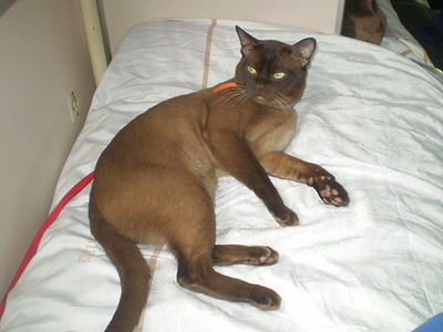 click for enlarge 640 X 480 163,7 Kb picture