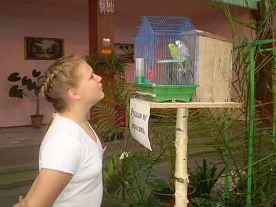 click for enlarge 640 X 480 164,6 Kb picture