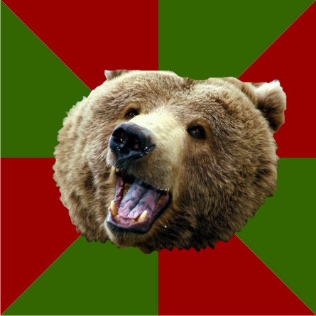 445 x 445