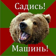 click for enlarge 445 X 445 31,8 Kb picture