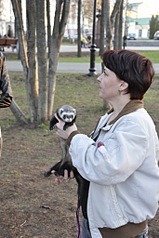 click for enlarge 681 X 1024 167,9 Kb picture