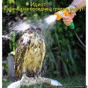 click for enlarge 620 X 620  82,2 Kb picture