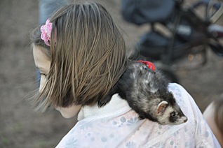 click for enlarge 1280 X 851 197,3 Kb picture