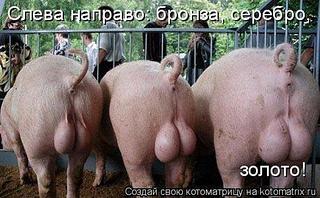 click for enlarge 525 X 325  41,5 Kb picture