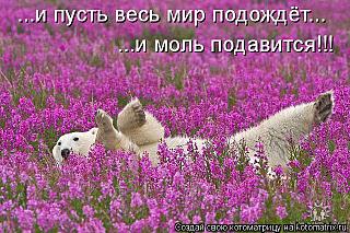 click for enlarge 640 X 426  83,8 Kb picture