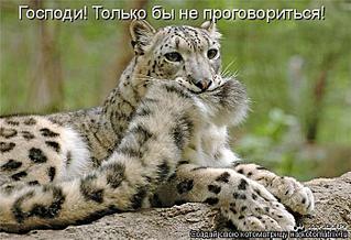 click for enlarge 700 X 477  63,5 Kb picture