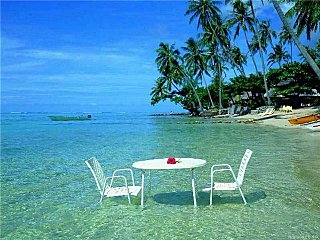 click for enlarge 640 X 480 80,0 Kb picture