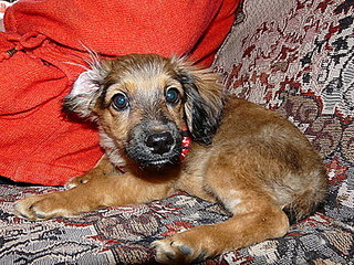 click for enlarge 400 X 300 65,3 Kb picture