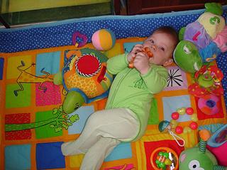 click for enlarge 1024 X 768 110,5 Kb picture