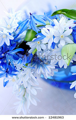 click for enlarge 299 X 470 63,8 Kb picture