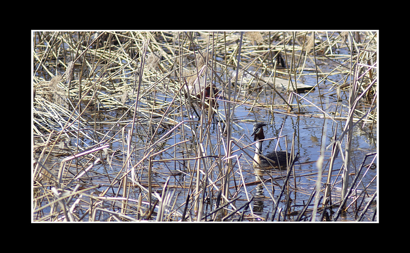 click for enlarge 1251 X 770 795,7 Kb picture