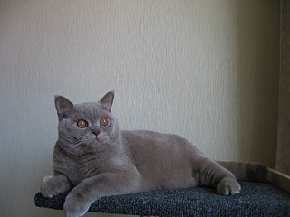 click for enlarge 1600 X 1200 508,7 Kb picture