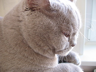 click for enlarge 1600 X 1200 700,4 Kb picture