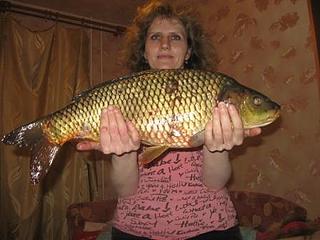 click for enlarge 448 X 336 33,8 Kb picture