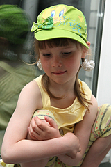 click for enlarge 500 X 750 276,5 Kb picture