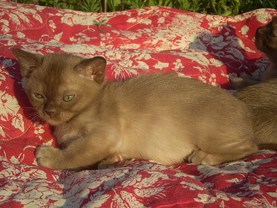 click for enlarge 640 X 480 166,4 Kb picture