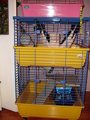 click for enlarge 1920 X 2560 511,8 Kb picture