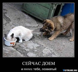 click for enlarge 693 X 634 89,3 Kb picture