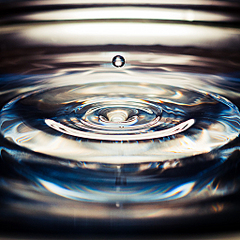 click for enlarge 1024 X 1024 784,9 Kb picture