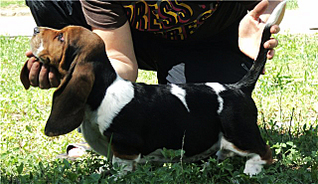 click for enlarge 640 X 369 186,3 Kb picture