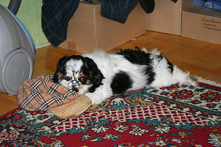click for enlarge 600 X 400 278,6 Kb picture