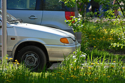 click for enlarge 1920 X 1285 663,3 Kb picture