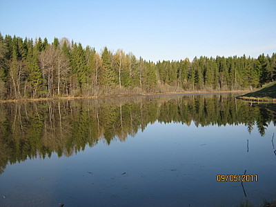 click for enlarge 1600 X 1200 544,1 Kb picture