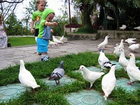 click for enlarge 604 X 453 134,5 Kb picture