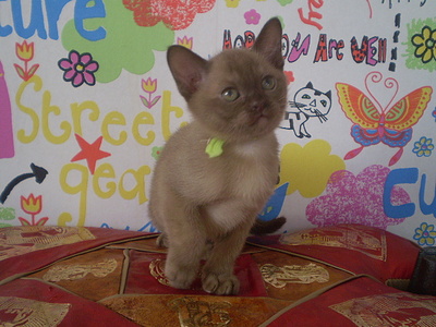click for enlarge 640 X 480 149,9 Kb picture
