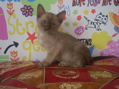 click for enlarge 640 X 480 148,9 Kb picture