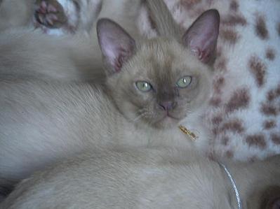 click for enlarge 615 X 461 35,7 Kb picture