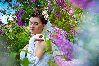 click for enlarge 800 X 534 587,5 Kb picture