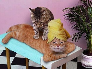click for enlarge 604 X 453 70,2 Kb picture